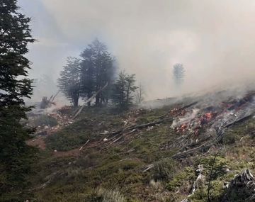 Incendios en la Patagonia: Pedimos colaboración a Chile