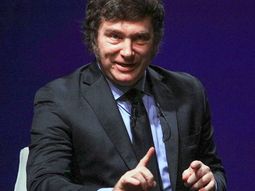 la imagen de milei tambien cae entre los votantes libertarios y del pro la imagen de milei tambien cae entre los votantes libertarios y del pro