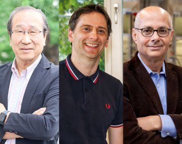 Otorgan el Premio Nobel de Química por el desarrollo de una nueva forma de arquitectura molecular