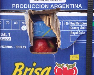 Narcotráfico: comienza el juicio por la causa Manzanas blancas