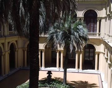 Murió una de las palmeras de la Rosada