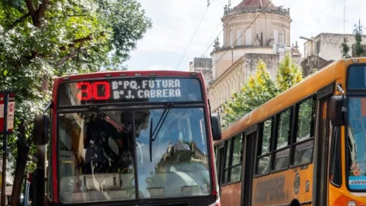 Imagen noticia completa