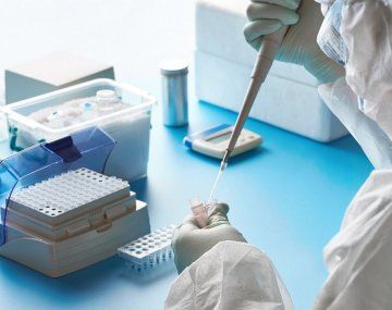 Las carreras universitarias más elegidas por la pandemia