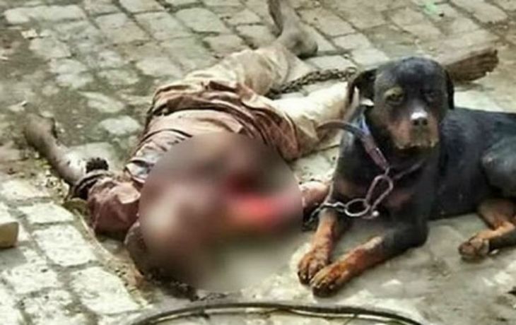 El perro al lado del cuerpo de su dueño después de asesinarlo