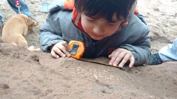 Foto: portal 0223. Foto: portal 0223.