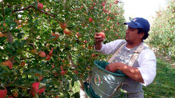 productores regalaran este martes 10 mil kilos de fruta en plaza de mayo productores regalaran este martes 10 mil kilos de fruta en plaza de mayo