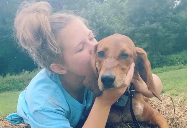 Una nena quiso salvar a su perro, pero ambos murieron atropellados