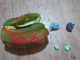 Intentó ingresar droga en morrón