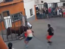 impactante: provoco a un toro desde una jaula y el animal casi lo mata impactante: provoco a un toro desde una jaula y el animal casi lo mata