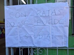 Denuncian la aparición de ratas en una escuela de Mataderos Denuncian la aparición de ratas en una escuela de Mataderos