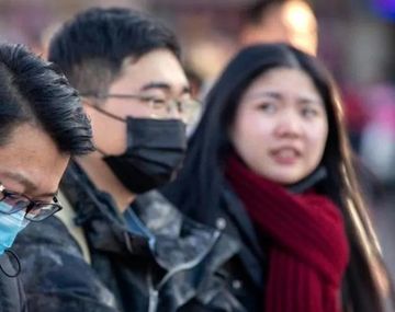 Alentadores avances en análisis con monos contra el coronavirus