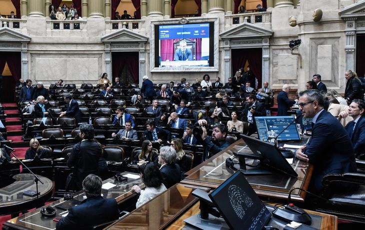 Cómo está el poroteo en Diputados para el rechazo a los vetos de Javier Mile