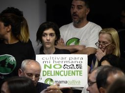 Ley de cannabis medicinal
