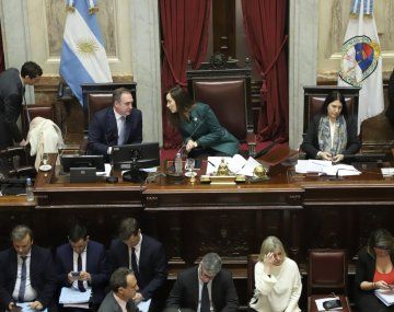 La sesión especial del Senado por el aumento de las dietas en fotos
