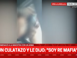 Un nene de 11 años amenazó con un arma a una maestra y le pegó un culatazo