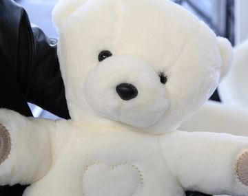 El osito que diagnostica enfermedades