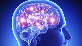 el estres en el cerebro puede danar el corazon el estres en el cerebro puede danar el corazon