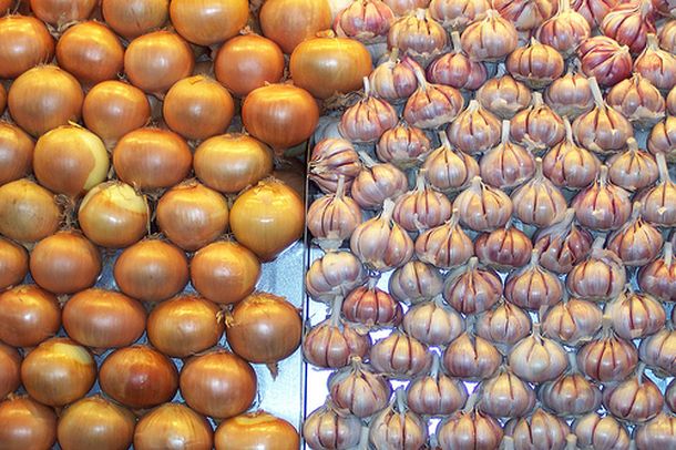 Ajos y cebollas