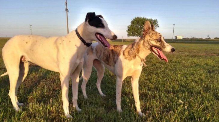 Foto gentileza 0223.