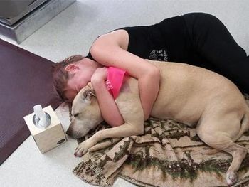 Mostró el último día de su perra en la web