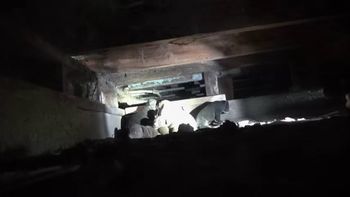 emotivo rescate de cachorritos de pitbull nacidos bajo una casa emotivo rescate de cachorritos de pitbull nacidos bajo una casa