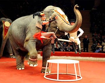 Jenny y Magda palearon el frío con vodka