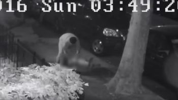 escalofriante video: un hombre quiere violar a una mujer en la calle escalofriante video: un hombre quiere violar a una mujer en la calle