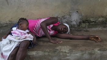 anticuerpo para combatir al ebola anticuerpo para combatir al ebola