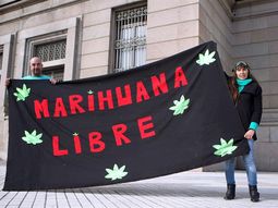 falta determinar si argentinos podran comprar marihuana falta determinar si argentinos podran comprar marihuana