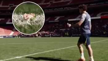 el emotivo gesto de julian alvarez con un hincha de atletico madrid que perdio a su hija el emotivo gesto de julian alvarez con un hincha de atletico madrid que perdio a su hija
