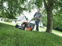 Imágen ilustrativa Imágen ilustrativa