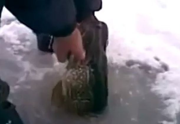 El método ruso poco ortodoxo para pescar en aguas congeladas