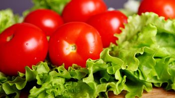 Los subproductos elaborados son el segmento con mayor potencial de acceso preferencial al mercado europeo bajo el nuevo acuerdo Mercosur-UE. Los subproductos elaborados son el segmento con mayor potencial de acceso preferencial al mercado europeo bajo el nuevo acuerdo Mercosur-UE.