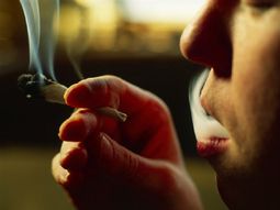 un famoso musico dejo de fumar marihuana para dar el ejemplo a sus nietos un famoso musico dejo de fumar marihuana para dar el ejemplo a sus nietos