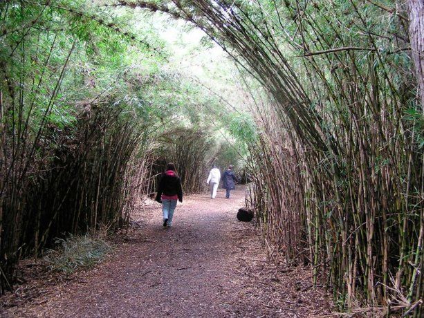 Bariloche: encontraron a una mujer muerta en un sendero de Circuito Chico