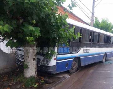 Un árbol detuvo la marcha descontrolada del micro