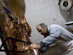 Carne JH 6505 Carne JH 6505