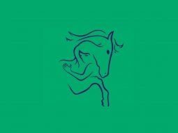 Lo primero que veas revelará si sos una persona vacilante