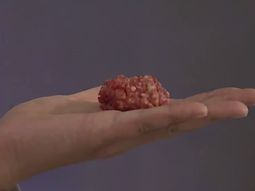 A cada chico le corresponden 32 gramos de carne por mes