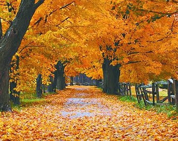 ¿Por qué el otoño comenzó hoy y no mañana