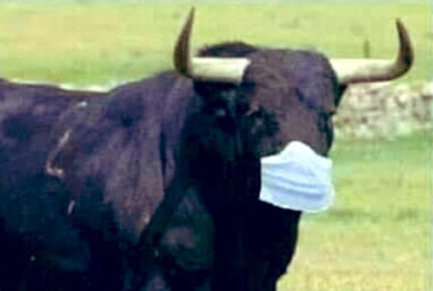 Contó que su novia borra WhatsApp e Instagram cuando se encuentran y lo llenaron de memes