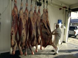 el campo rechaza la importacion de carne y reclama revisar la cadena de valor el campo rechaza la importacion de carne y reclama revisar la cadena de valor