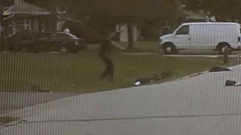 Brutal ataque pitbull Brutal ataque pitbull