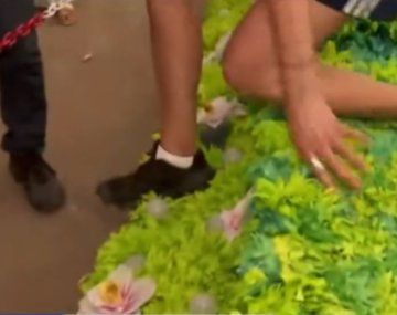 Indignación en Jujuy: periodista de TN dañó una carroza en plena Fiesta de los Estudiantes