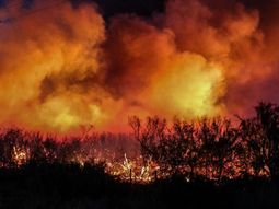Casi 100 mil hectáreas fueron afectadas por el fuego