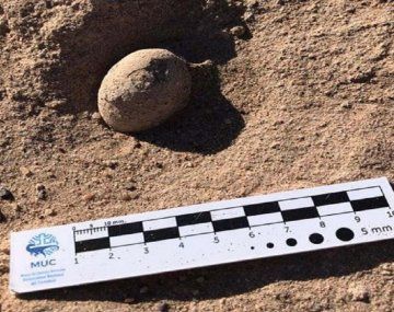 Neuquén: encontraron nidos de huevos de dinosaurios