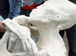 La primera momia extraterrestre