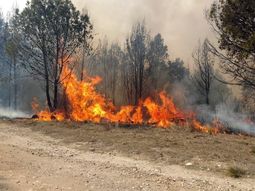 Incendios C&oacute;rdoba