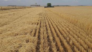 El arrendamiento de tierras para uso rural aumentó un 15% el año pasado en el Uruguay. El arrendamiento de tierras para uso rural aumentó un 15% el año pasado en el Uruguay.