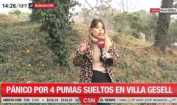 ¡Mamá! Soy un meme, una periodista de C5N se volvió viral